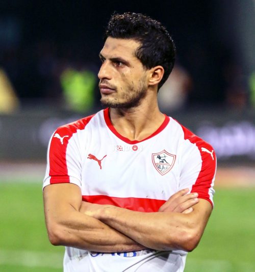 طارق حامد